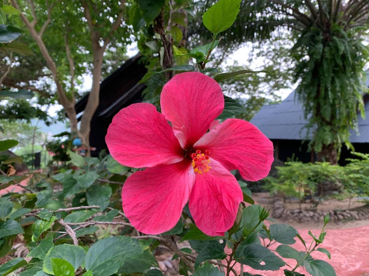 Thongtapan Resort Ban Chalok Lam Esterno foto